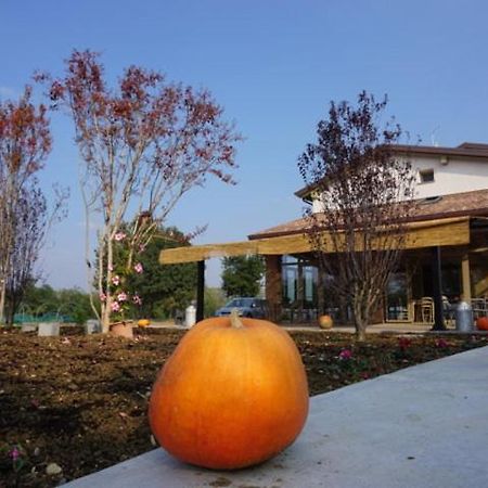 Agriturismo Campogrande Carpaneto Piacentino Ngoại thất bức ảnh
