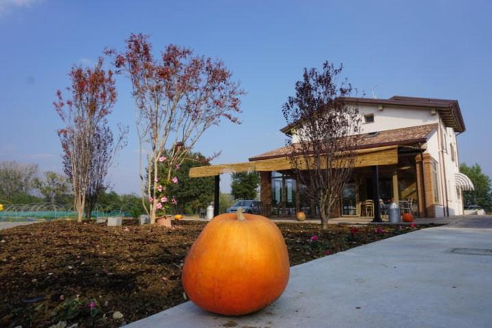 Agriturismo Campogrande Carpaneto Piacentino Ngoại thất bức ảnh