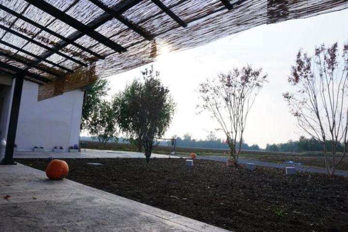 Agriturismo Campogrande Carpaneto Piacentino Ngoại thất bức ảnh
